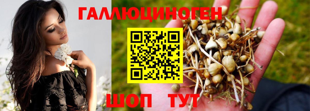 Псилоцибиновые грибы Magic Shrooms Коломна